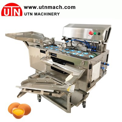 Quebra-ovos automático